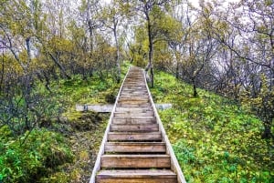 Частный тур в долину Торсморк