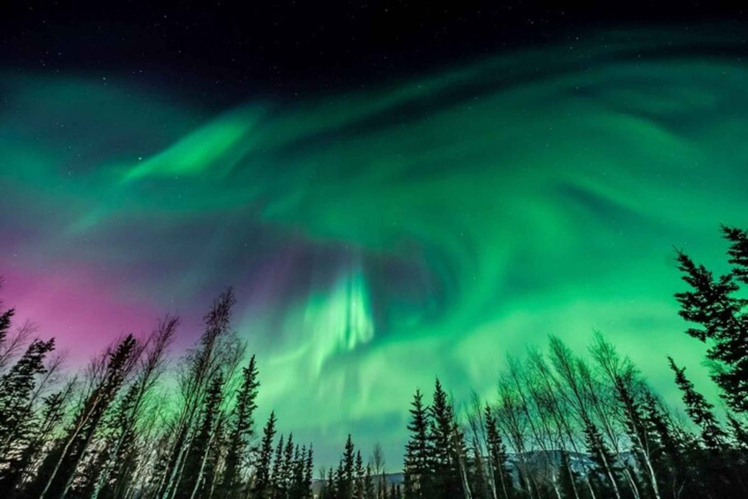 Unforgettable and Fabulous Northern Lights in Reykjavík