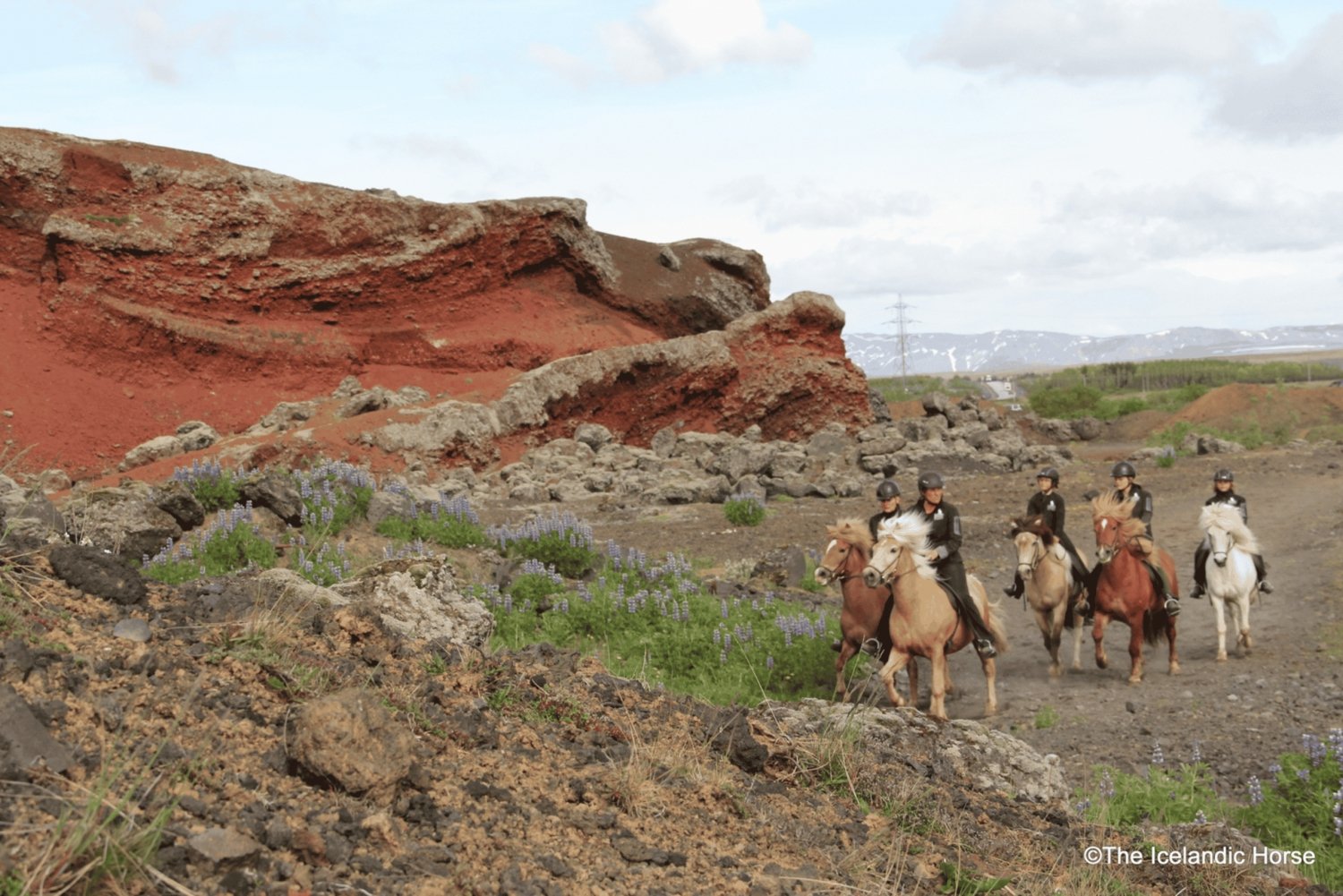 Paisaje Volcánico Islandia Rutas a Caballo