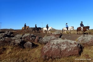 Paesaggio vulcanico Islanda Tour a cavallo