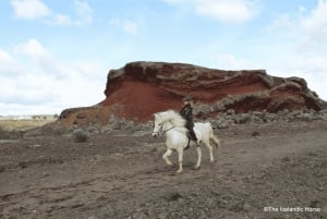 Paesaggio vulcanico Islanda Tour a cavallo