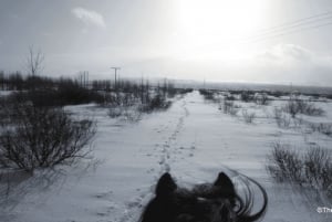 Paesaggio vulcanico Islanda Tour a cavallo