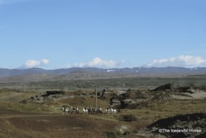 Paesaggio vulcanico Islanda Tour a cavallo