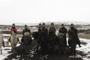 Paesaggio vulcanico Islanda Tour a cavallo