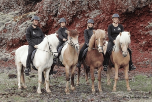 Reykjavík: Horse Riding Tours