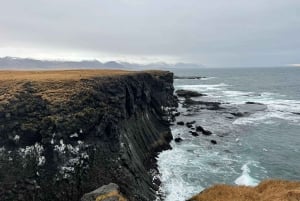 Snaefellsness-halvøya : Privat guidet dagstur