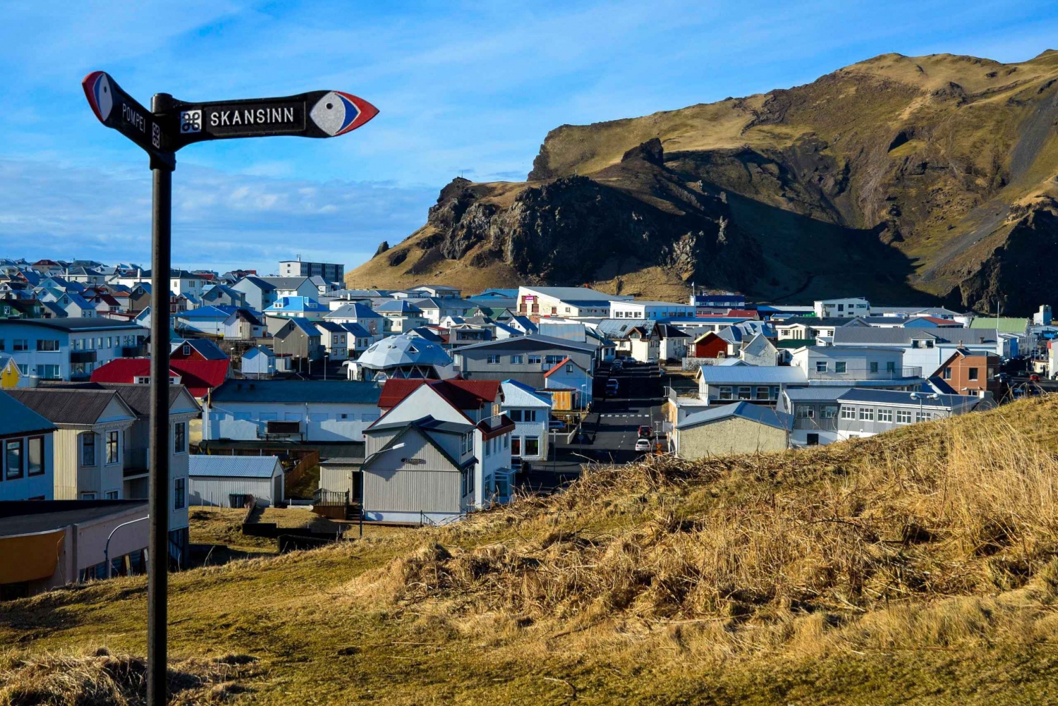 Vestmannaøerne dagstur fra Reykjavik