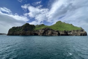 Islas Westman Excursión privada