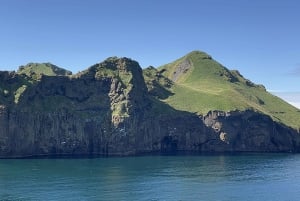 Westman islands Private tour
