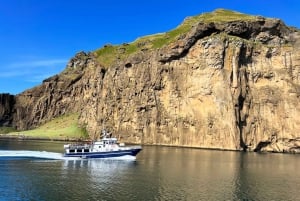 Westman islands Private tour