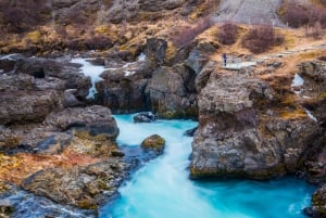 Fjord de la Baleine & Cercle d'Argent Islande