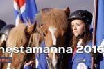 The National Icelandic Horse Competition - Landsmót hestamanna 2016