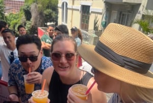 2 Days Private Tour in Rio de Janeiro