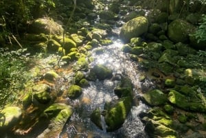 2 Days Private Tour in Rio de Janeiro