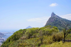 Rio Alternative Viewpoints - by Alan Denis