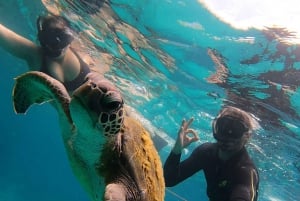 A day in Ilha Grande Snorkeling with turtles Privado