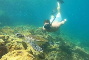 A day in Ilha Grande Snorkeling with turtles Privado