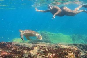 A day in Ilha Grande Snorkeling with turtles Privado