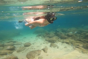 A day in Ilha Grande Snorkeling with turtles Privado