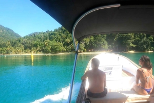 A day in Ilha Grande Snorkeling with turtles Privado