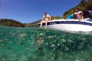 Angra dos Reis and Ilha Grande: Small-Group Fast-Boat Tour