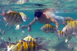 Angra dos Reis and Ilha Grande: Small-Group Fast-Boat Tour