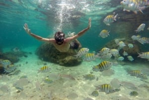 Angra dos Reis and Ilha Grande: Small-Group Fast-Boat Tour