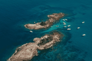 Angra dos Reis: Paradisiac Islands Private Speedboat Tour