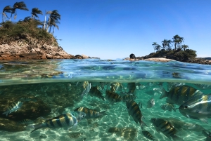 Angra dos Reis: Paradisiac Islands Private Speedboat Tour