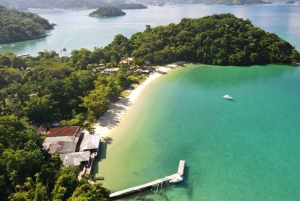 Angra dos Reis: Paradisiac Islands Private Speedboat Tour
