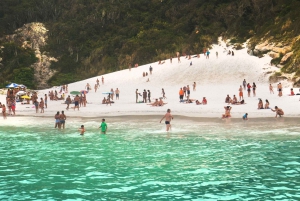 Arraial do Cabo (Brazilian Caribbean) Guided Tour from Rio de Janeiro