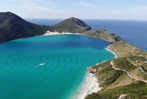 From Rio de Janeiro: Arraial do Cabo Island Day Trip