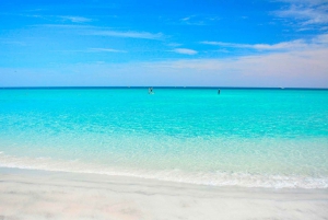 From Rio de Janeiro: Arraial do Cabo Island Day Trip