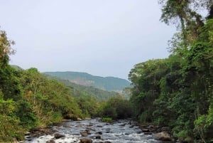 Trekking MATA ATLÂNCIA WITH CACHOEIRAS - THE GOLDEN WAY