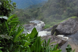Trekking MATA ATLÂNCIA WITH CACHOEIRAS - THE GOLDEN WAY