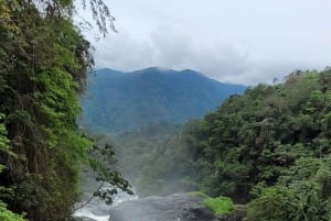 Trekking MATA ATLÂNCIA WITH CACHOEIRAS - THE GOLDEN WAY