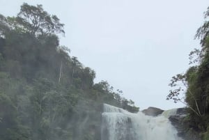 Trekking MATA ATLÂNCIA WITH CACHOEIRAS - THE GOLDEN WAY