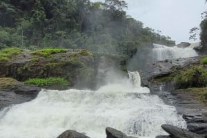 Trekking MATA ATLÂNCIA WITH CACHOEIRAS - THE GOLDEN WAY