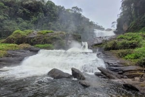 Trekking MATA ATLÂNCIA WITH CACHOEIRAS - THE GOLDEN WAY