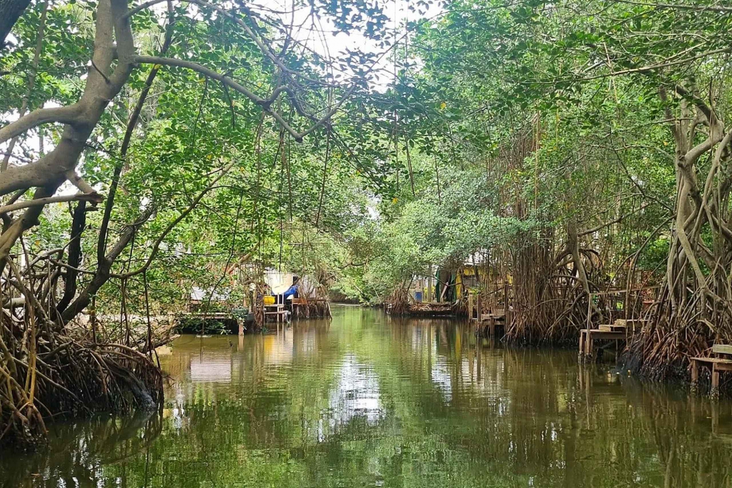 Barra da Tijuca: Reino das Águas, seus segredos e biodiversidade.