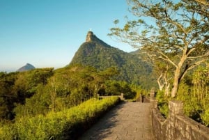 Rio de Janeiro Full or Half Day City Sightseeing Tour