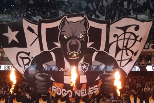 Botafogo Football Match Experience