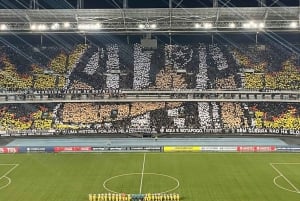 Botafogo Football Match Experience