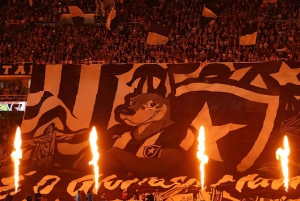 Botafogo Football Match Experience