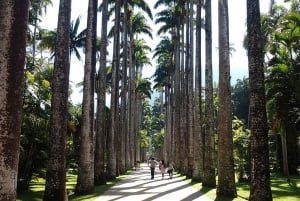 Botanical Garden and Lage Park: Treasures of Rio de Janeiro