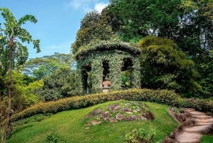 Botanical Garden and Lage Park: Treasures of Rio de Janeiro