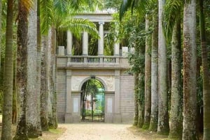 Botanical Garden and Lage Park: Treasures of Rio de Janeiro