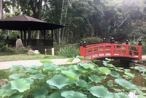 Botanical Garden and Lage Park: Treasures of Rio de Janeiro
