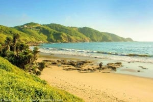 Búzios Nautical Excursion