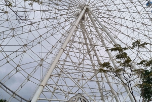 Cariocando at AquaRio & Olympic's Boulevard
